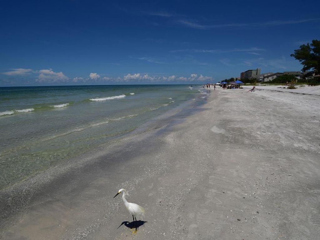 Gulf Retreat 2: Magnificent Water Views, Steps To Beach, None Cleaner, None Nicer! 클리어워터 비치 외부 사진